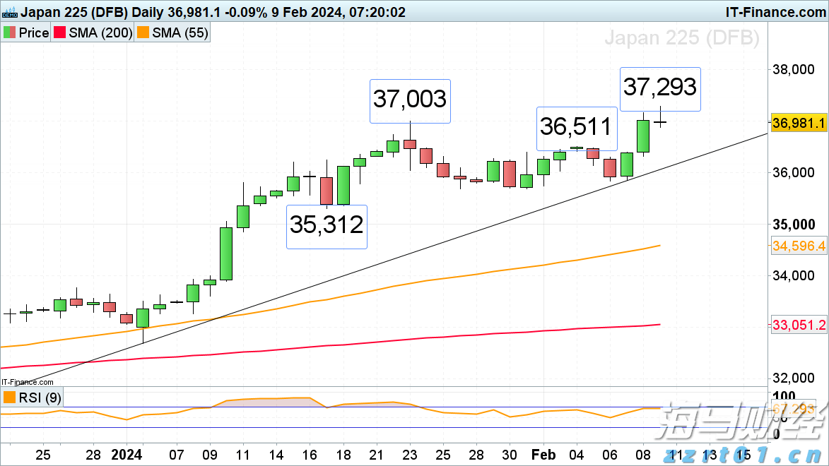 国宝“兄弟”冰城安家！大熊猫“芝士”“芝麻”抵达哈尔滨