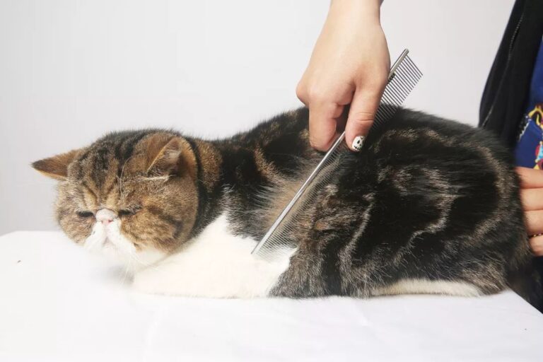 江门中微子实验运行取数,日均捕捉50—60个中微子