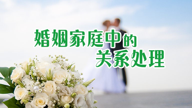 澳门特区第八届立法会选举竞选活动开始