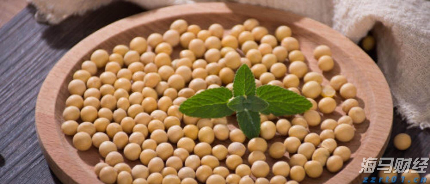 香港商经局：银发经济市场潜力巨大 助力吸引老年游客消费