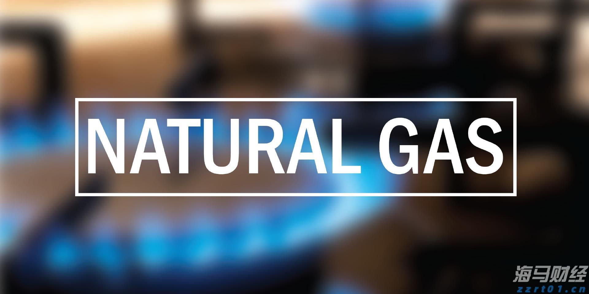 助力女企业家抢占“数字先机”