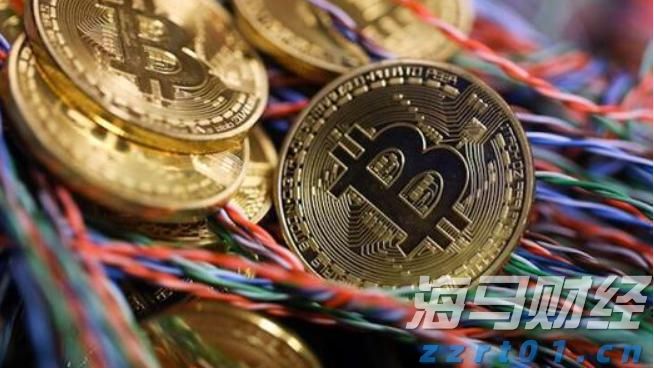 从口岸到赛场，残特奥会澳门赛区打造运动员参赛“无忧之路”